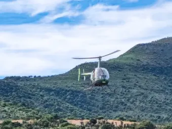 Helicopter guiding eland during a game capture operation